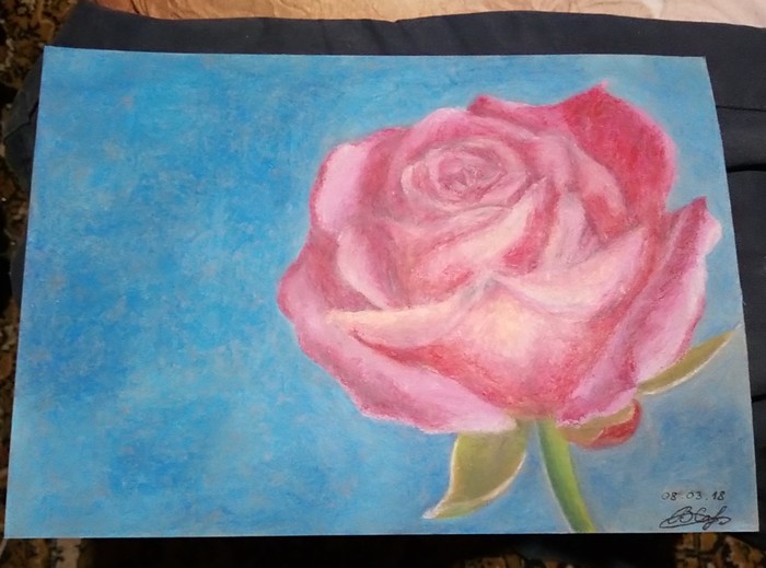 Flower - My, Flowers, Oil pastel, the Rose, Drawing