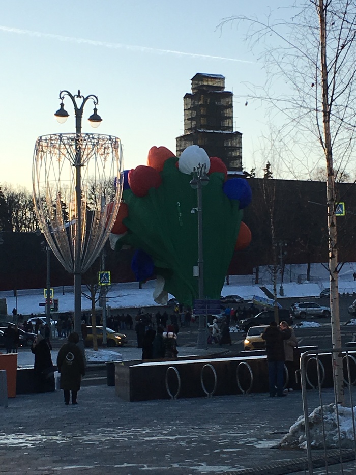 Tulips for pick-ups - My, Tulips, March 8, Flowers, Zaryadye, Moscow, Longpost