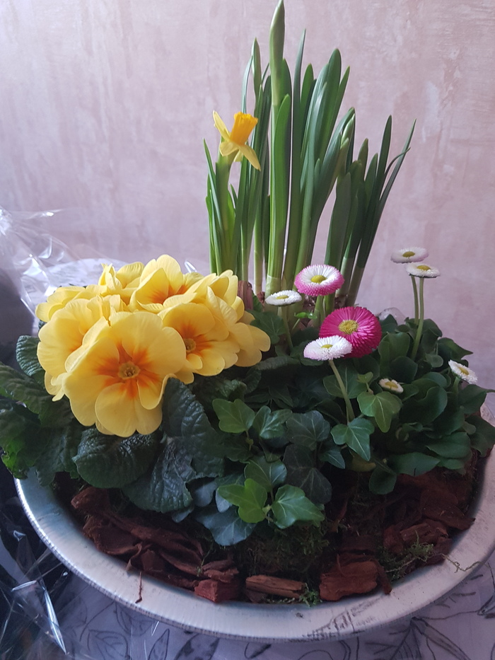 What are these flowers? - My, Flowers, , Presents, March 8, What's this?, Longpost