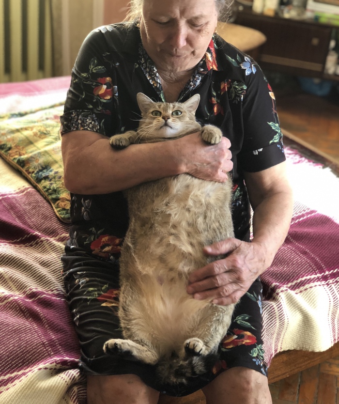 �� ���������� ������ � ������� ...