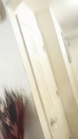 KO (knockout)