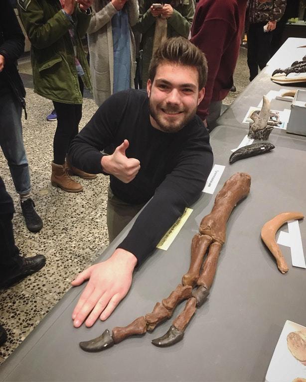 Tyrannosaurus rex arm is about the same size - Tyrannosaurus rex, Hand, The photo, , Paleontology, Tyrannosaurus