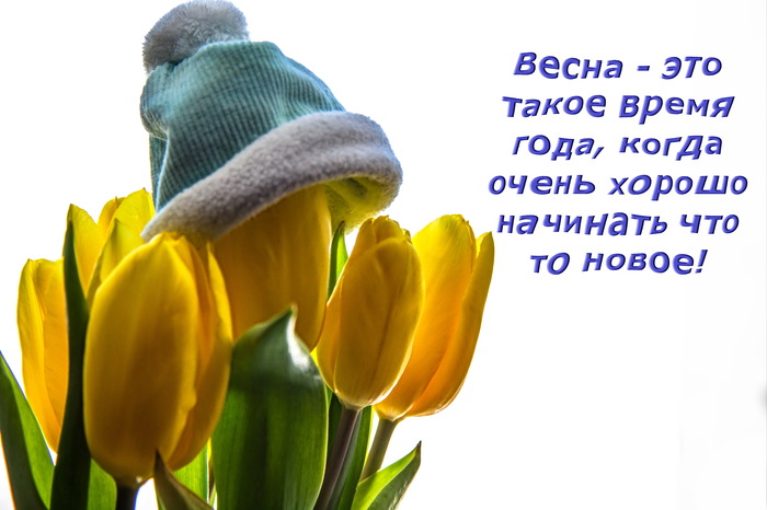 Hats off! - My, Spring, Helios, The photo, Picture with text, Congratulation