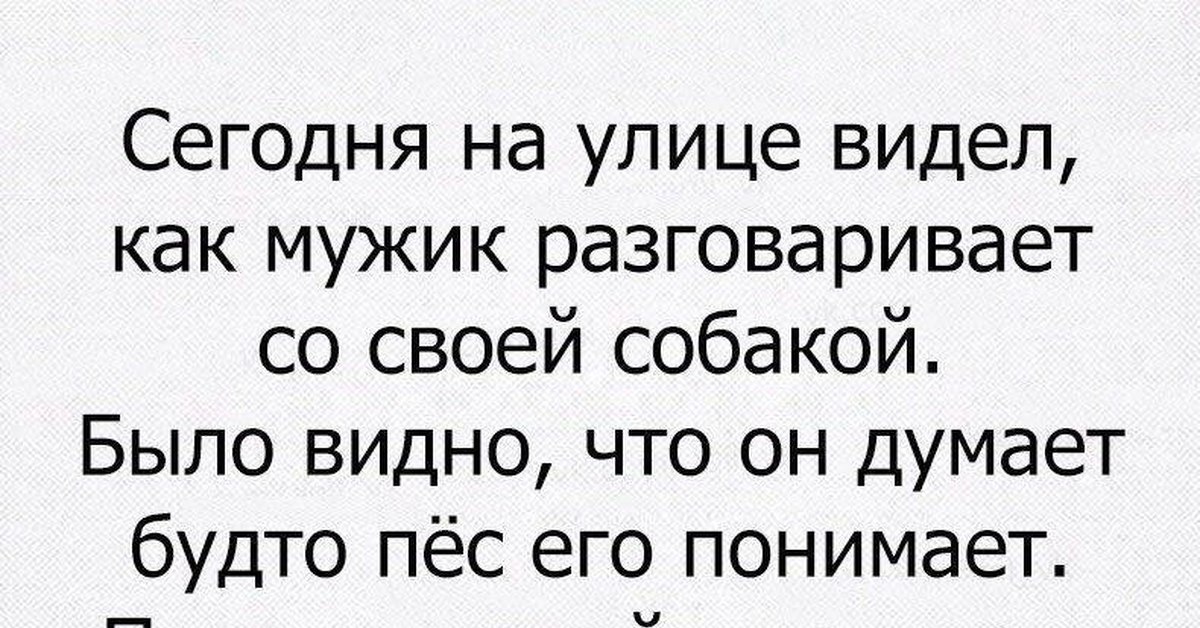 О взаимопонимании с питомцами | Пикабу