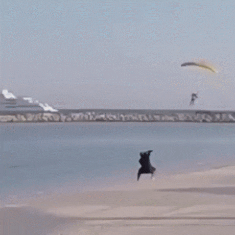 - Bro, take a couple of photos of my landing. - GIF, The photo, Fail, Water, Parachute