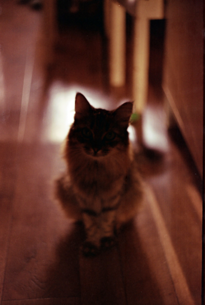 ����� �� �����