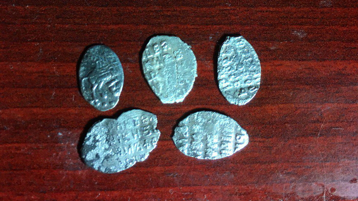 The boars dug the silver - Treasure hunt, Treasure, Silver, Metal detector, Hobby, Travels, Find, Coin, Video