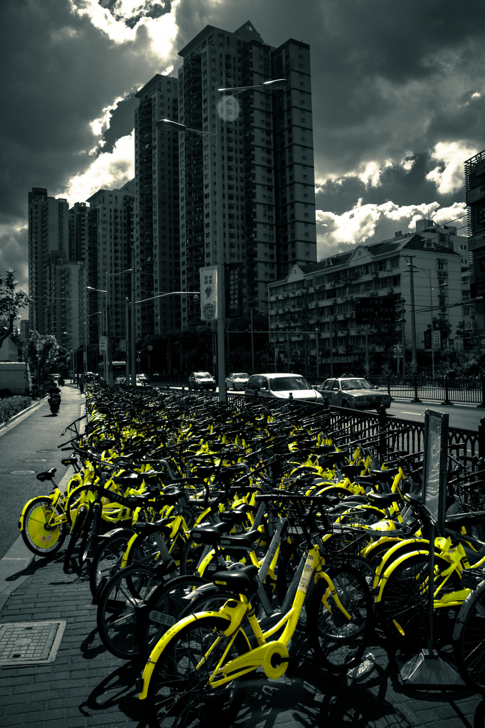 Velogorod - My, Beginning photographer, China, Shanghai, A bike, Black and white, Longpost, My