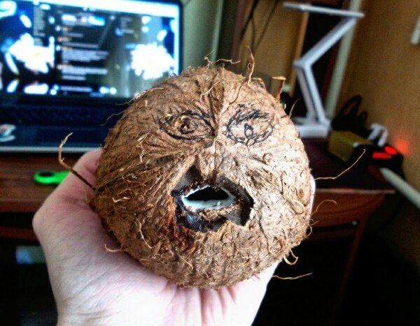 I drew eyes for my coconut and made a mouth. - My, Coconut, Face, Sex, Yezvutmargaret