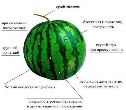 Полезности, интересности - Картинки со смыслом, Картинки, Лайфхак, Длиннопост