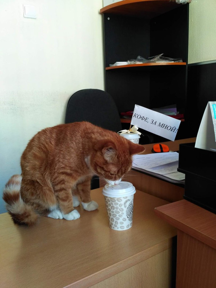 Понедельничное.