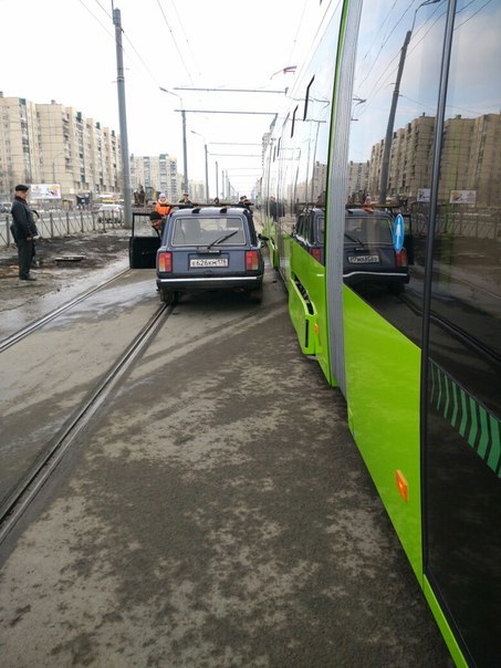 The fate of Chizhik, or poor Chizhik - Finch, Tram, Road accident, Saint Petersburg, Poor Chizhik, news