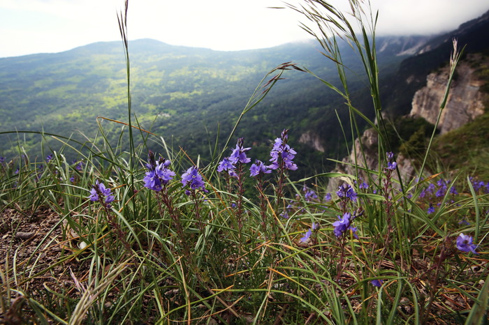 Equipment for Hiking in April in the mountains of Crimea. - My, Crimea, The mountains, Travels, Tourism, Hike, Sea, Adventures, Longpost