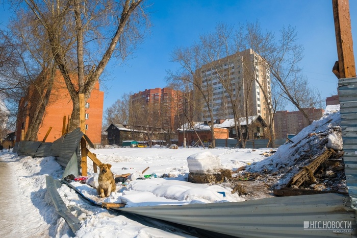 The mayor's office decided to spend 600 thousand on the demolition of a house that has long been gone - Society, Officials, City hall, Demolition, Fire, Government purchases, , Longpost