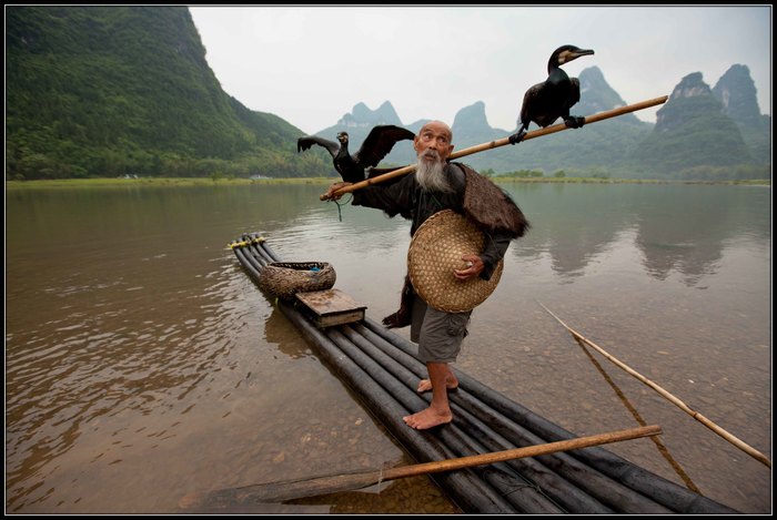 old fisherman - River, Fishermen, China, Old men, Birds, Cormorants, The photo