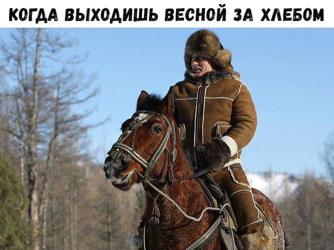 When in March -20 - 2. - March, Memes, freezing, Vladimir Putin, On horse