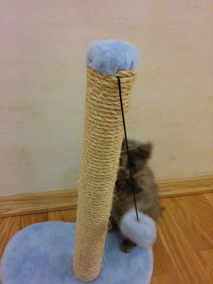 ,  , , , 