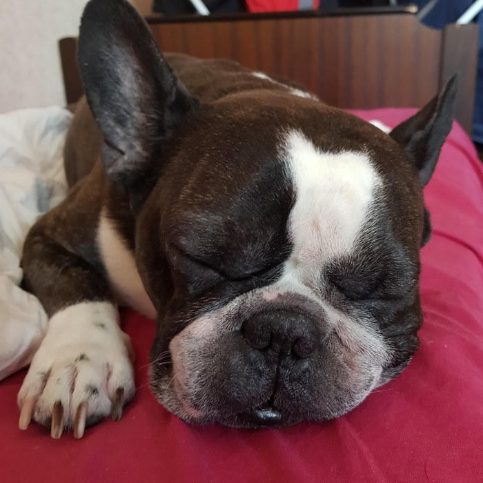 Вот такие мы сплюшки!