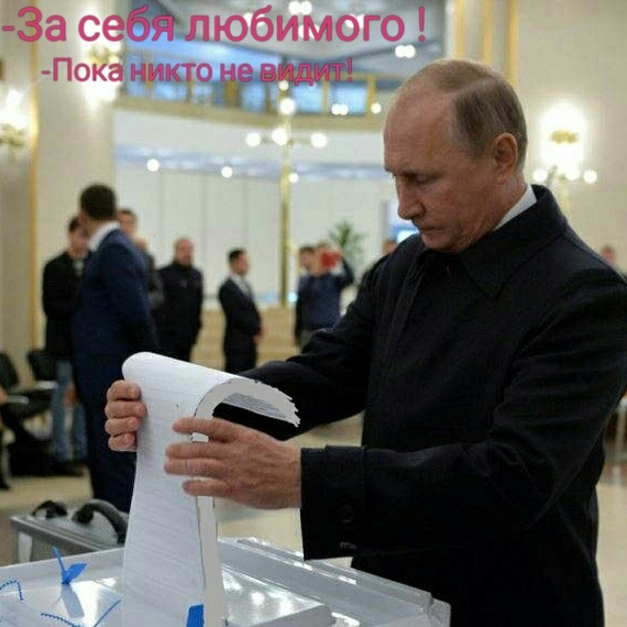 The dictator votes - Elections, Vladimir Putin, Stuffing, Politics, Humor