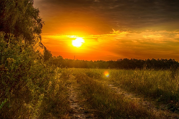 Summer morning - My, The photo, dawn, Landscape, Nature