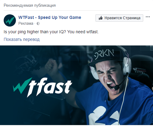 ����� IQ ������