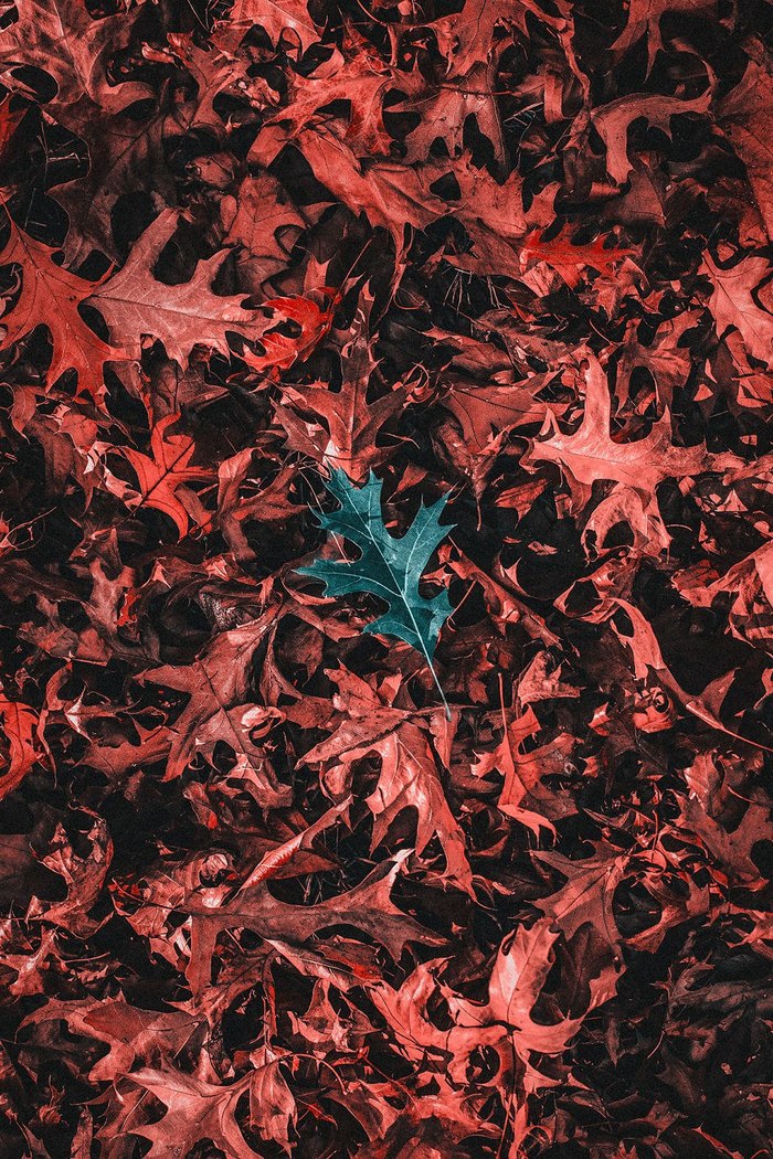 Иной взгляд на мир Искусство, Тританопия, Фотография, Дальтонизм, Арт, Длиннопост