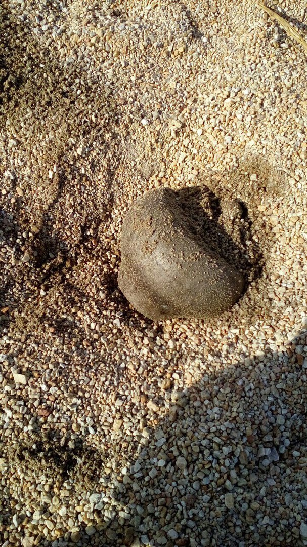 Beach - My, Beach, Kazakhstan, Coin, Longpost