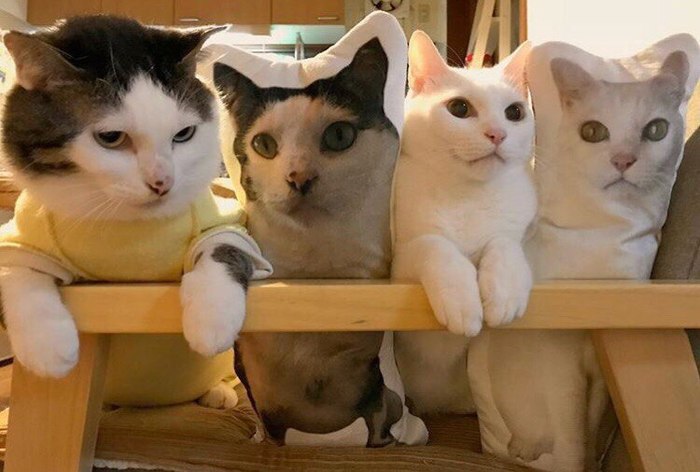 Заказчики довольны