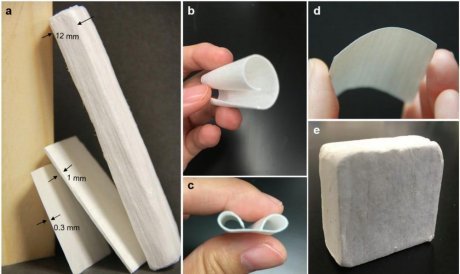 'Nanowood' with unique insulating properties developed in the USA - Tree, Wood, Technologies, Material, Building