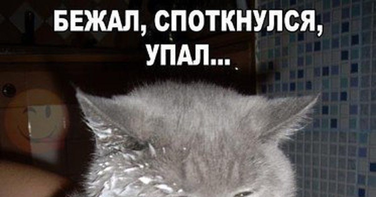 Не упади пожалуйста. Упал встань. Упал вставай, встал упал. Шутки про воображение. Не упади пожалуйста.