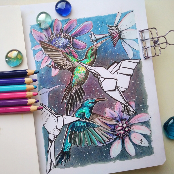 A dream in a summer night - My, Birds, Pencil drawing, Marker, Graphics, Sketch, Sketchbook, Flowers, Longpost