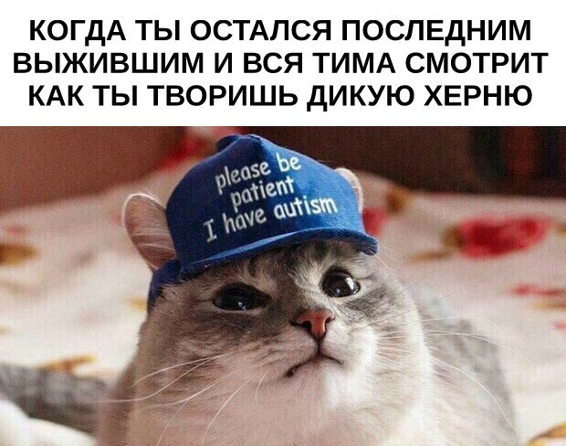 ��� �����