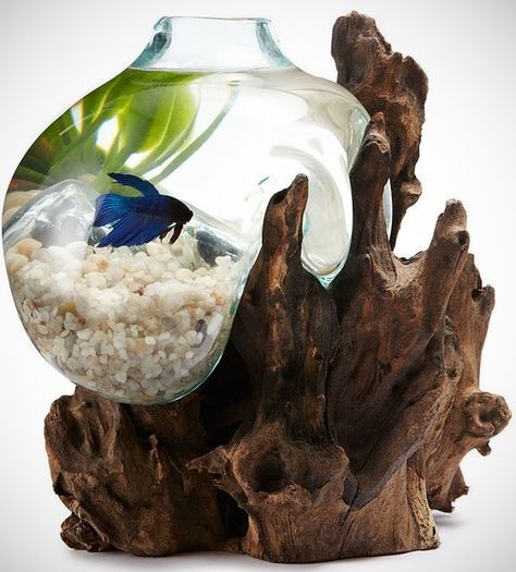 flowing aquarium - Aquarium, Aquarium, The photo