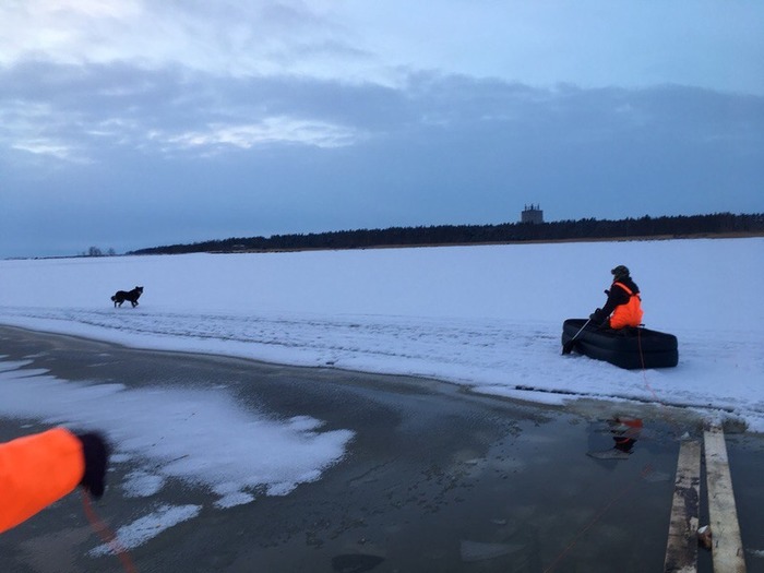 Kindness from the Leningrad region. The girl saved the dog from the ice trap on an air mattress - Kindness, Leningrad region, Pinery, Animals, Dog, Animal Rescue, Longpost