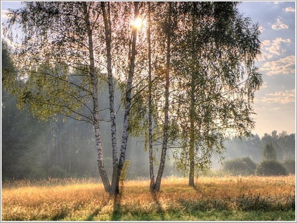 Rural sketches. 3 o'clock - My, Village, Summer, Nature, May, Longpost