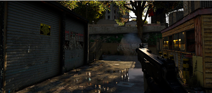  NaturalVision Remastered   GTA 5