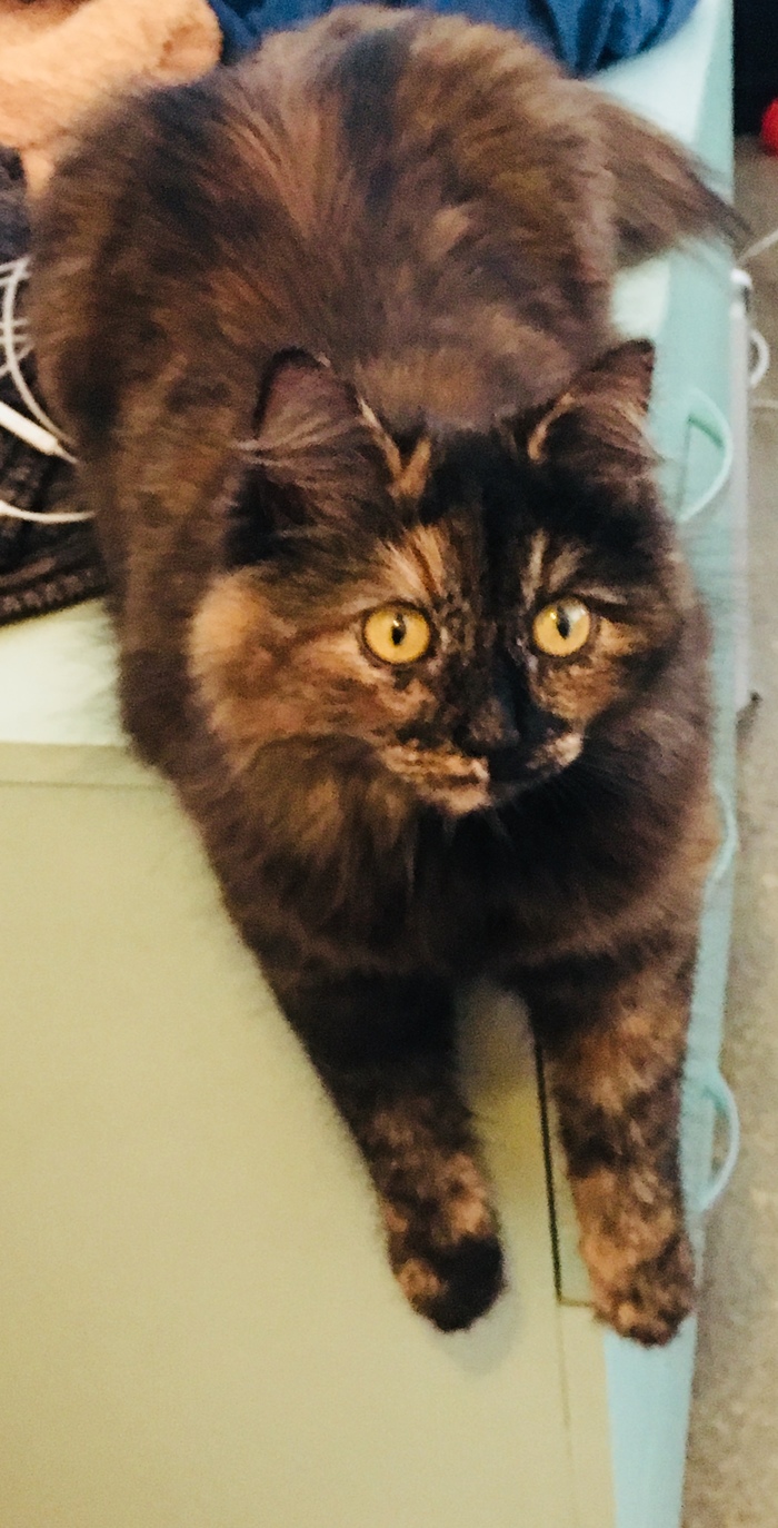 ����� � ���� ����� � ��� ������