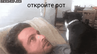 1521879993113645947.gif