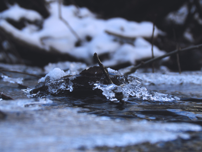 winter stream - My, Winter, Ice, Water, Cold, Forest, Nature, The photo, Stream, Longpost