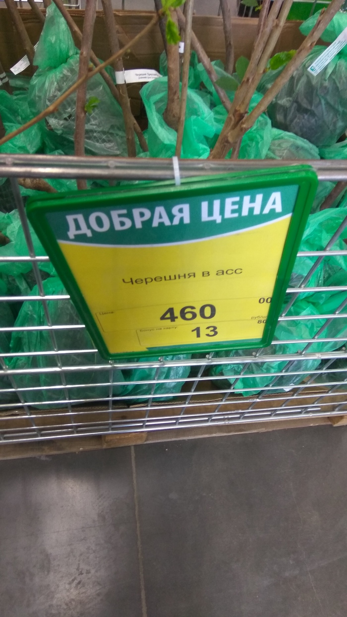 ����� � ���� ���