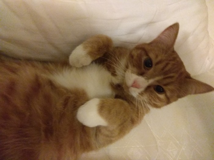 Поесть положил? Ну все, вали на работу.