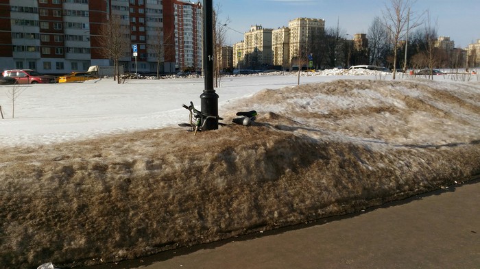 Spring, the first snowdrops appear - My, A bike, Spring, Students, Pain, Longpost, The photo