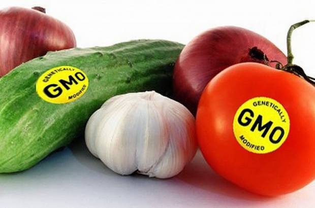 Sterilization of the population of Russia with the help of GMOs. - GMO, Population, Reproduction, Longpost, Stuffing, Ren TV, Fake, Pseudoscience