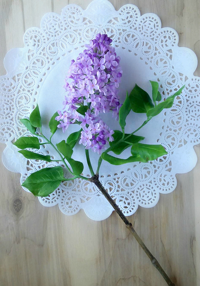 Branch of lilac from polymer clay - My, , Lilac, Polymer clay, Flowers, Needlework without process, Handmade, Longpost