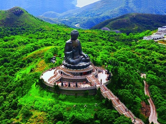 Buddha on Lantau Island, Hong Kong - Hong Kong, Buddha, Forest, Island, Tree, The photo, Nature