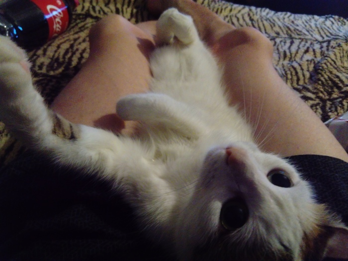 Всем хорошего вечера четверга...