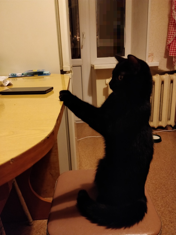 Сфоткай, типа я человек