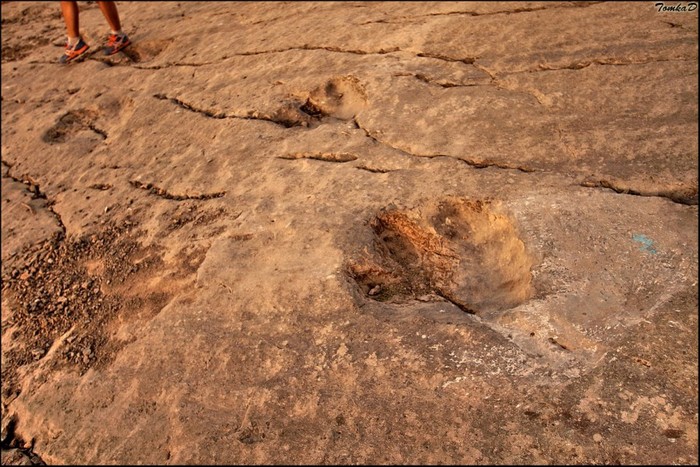 Plateau of dinosaurs. - Turkmenistan, Longpost, Plateau, Dinosaurs, Paleontology
