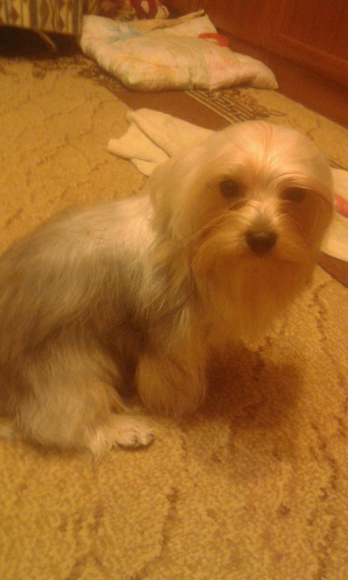 ������ ���������� ������ �� �� ��������?� ���, ���, �� ��������.