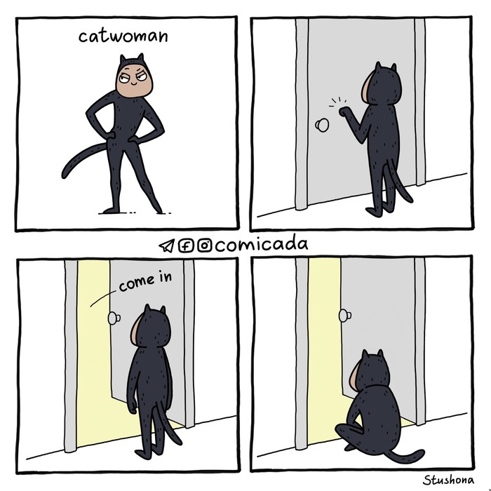 Catwoman - My, , Comics, Comicsbook, Catwoman